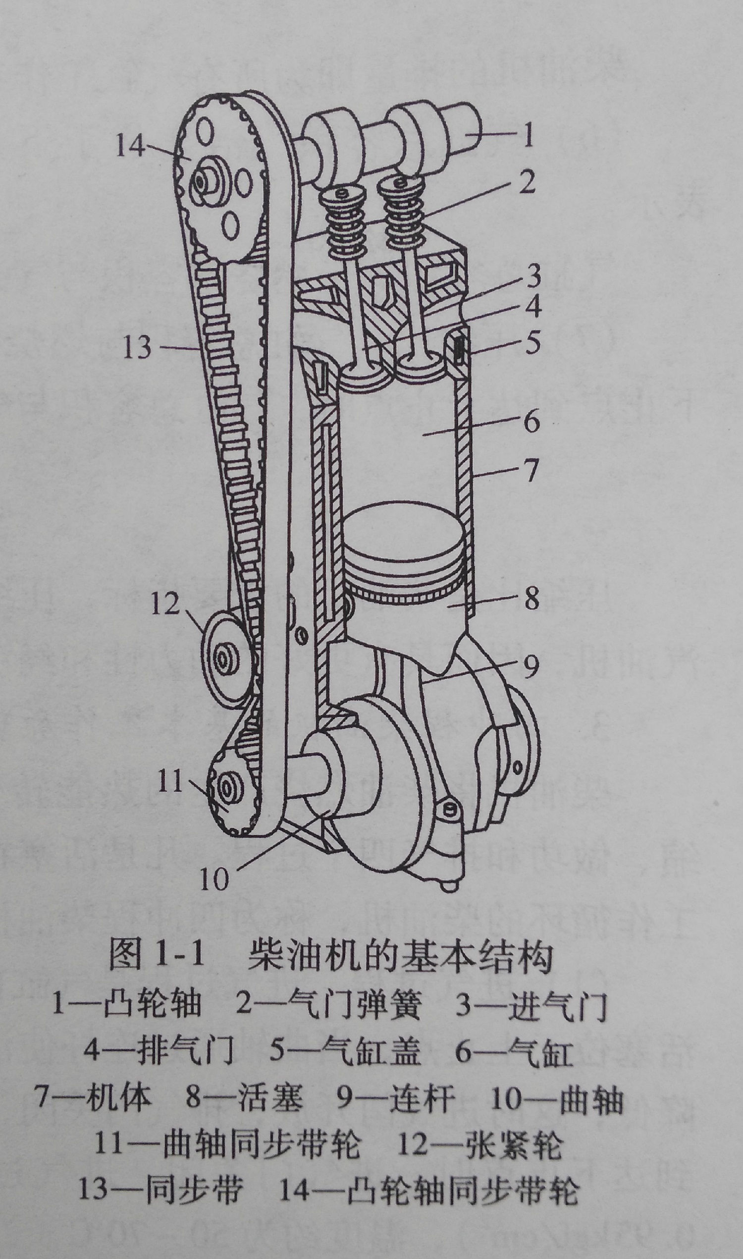 圖1-1.jpg